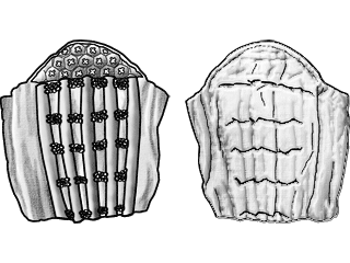Click to enlarge