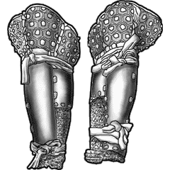 Click to enlarge
