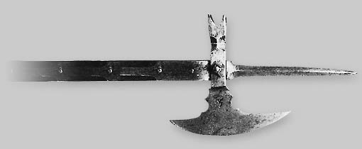 Click to enlarge
