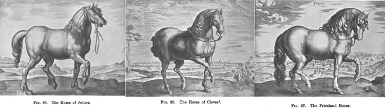 horses.gif