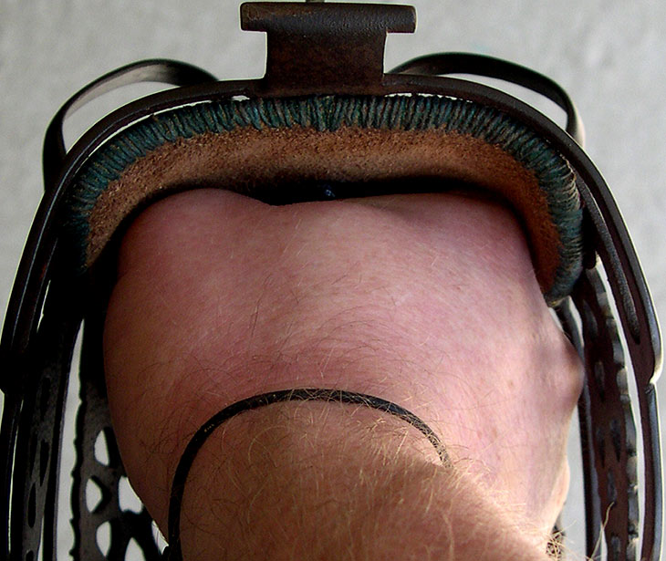 d2.MRL.CS.HybridLiner.jpg