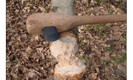 axe_tree1.jpg