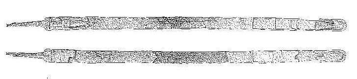 belginium.jpg