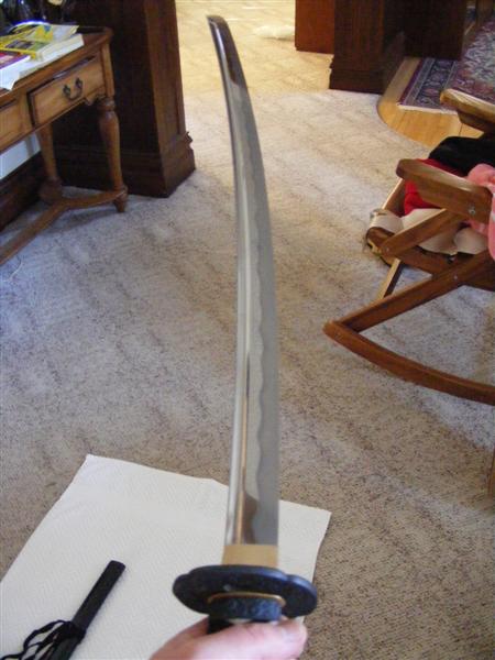Blade drawn1 (Medium).JPG