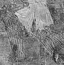 ch00104a08a.jpg