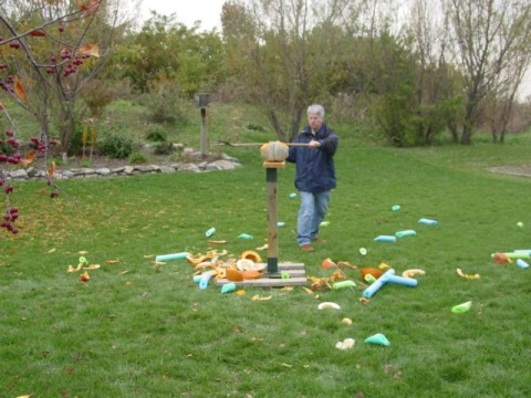 DSC00457 (480 x 360).jpg