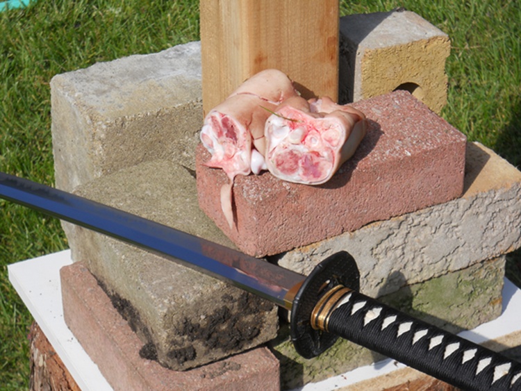 DSCN2370.JPG