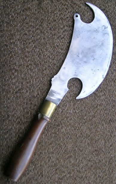 DSCN5878.JPG