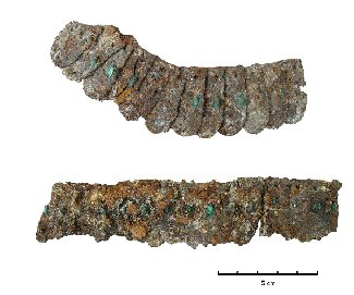 figure5.jpg