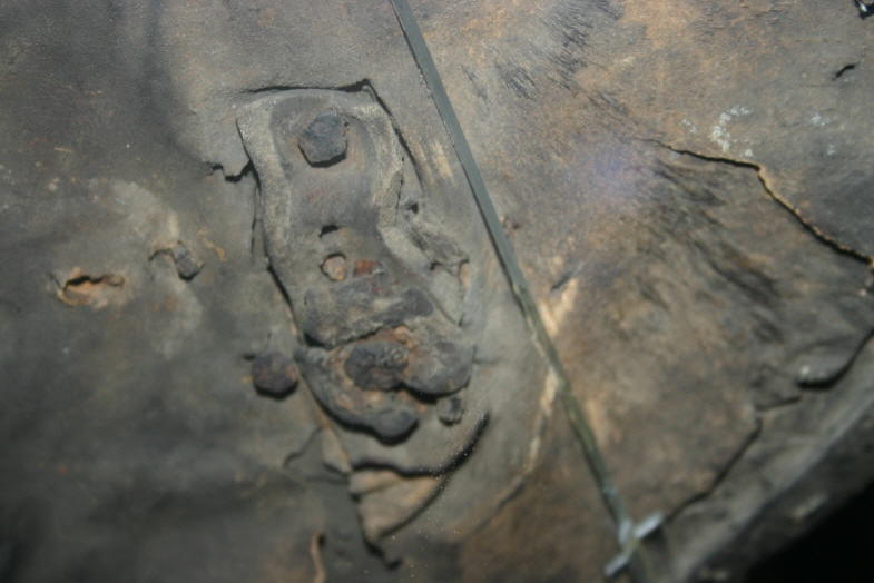 Hunterian targaid back 3.jpg