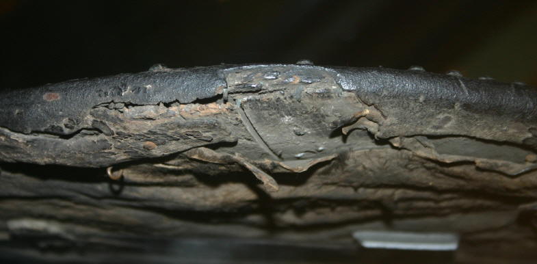 Hunterian targaid back 4.jpg