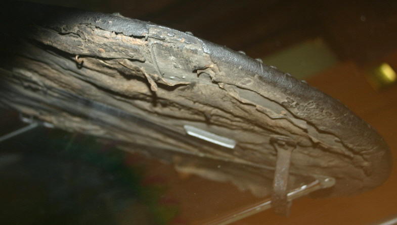 Hunterian targaid back 5.jpg
