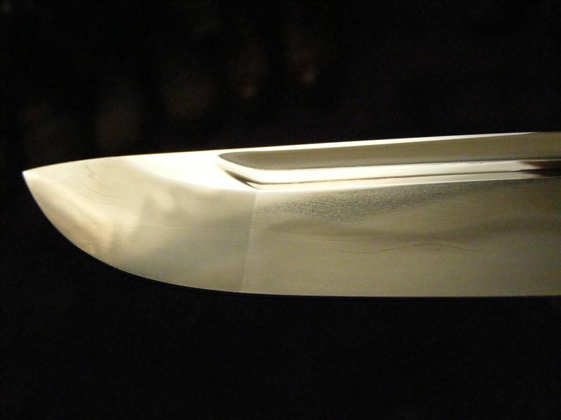 Kissaki beauty (Medium).JPG