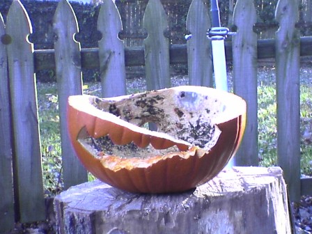 More Aftermath.JPG