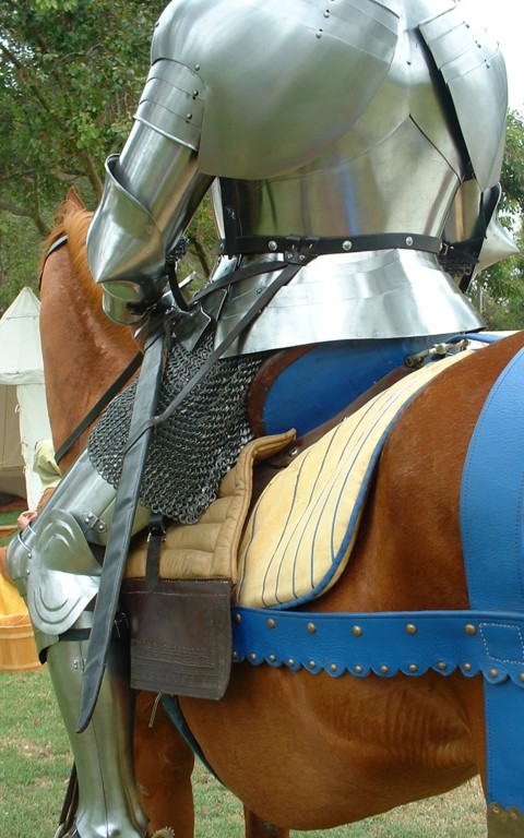 mounted 4.JPG