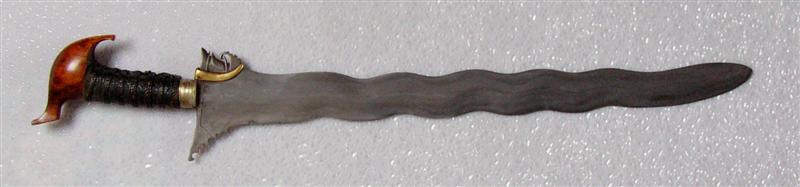 P1160585 (Medium).JPG
