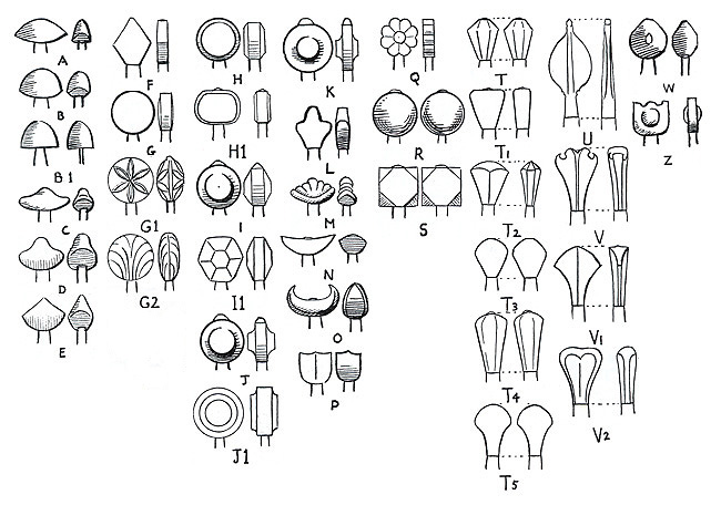 pommeltypology.jpg