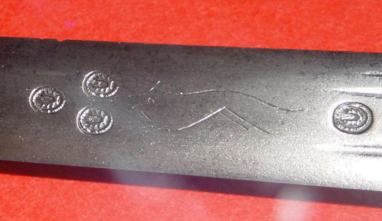 Run wolf kelvingrove Ron pic.jpg