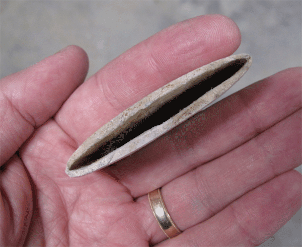 scabbard3.gif