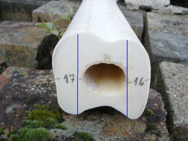 spessore osso giraffa.jpg