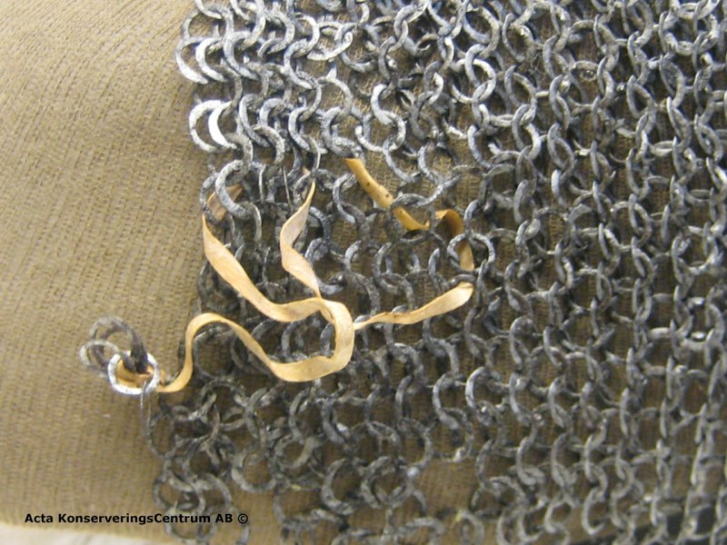 Tofta conserved thongs.jpg