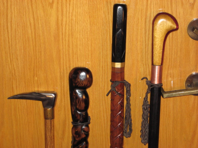 Walking Stick02.JPG